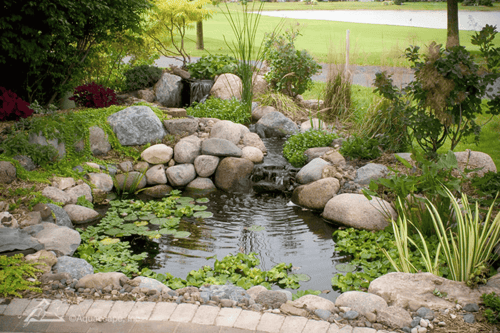 Koi Ponds & Water Gardens - Download Free CAD Drawings, BIM Models, Revit, Sketchup, SPECS and more.